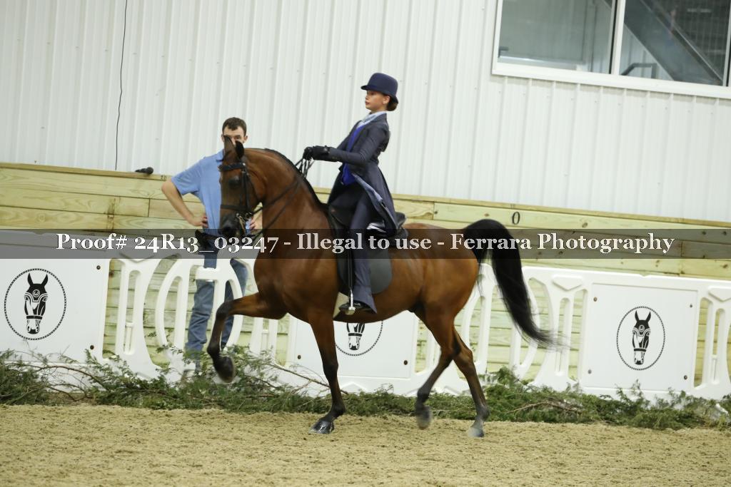 Proof 24R13_03247