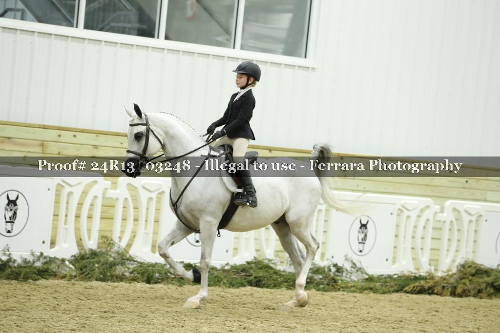 Proof 24R13_03248