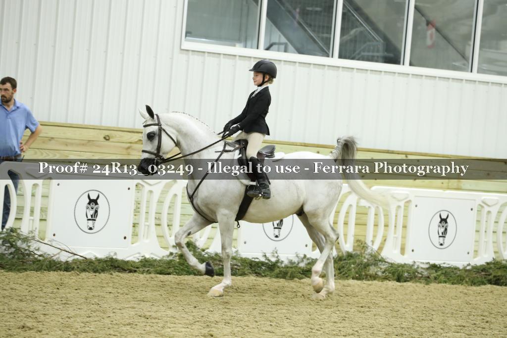 Proof 24R13_03249