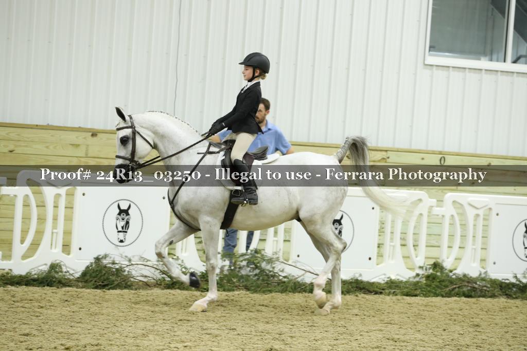 Proof 24R13_03250