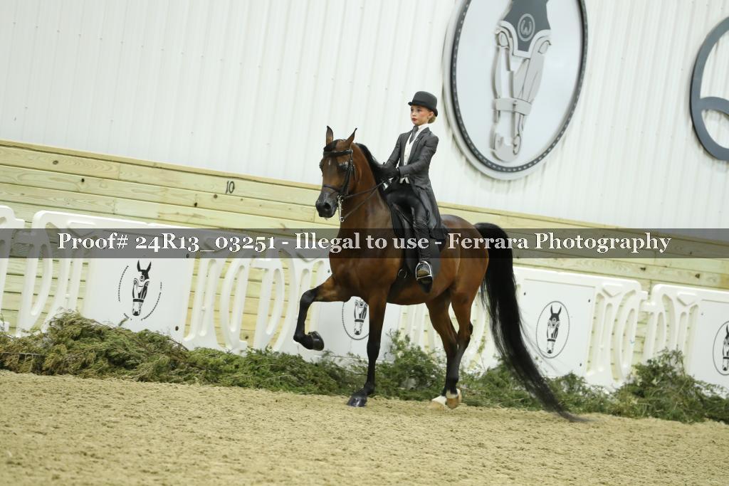 Proof 24R13_03251