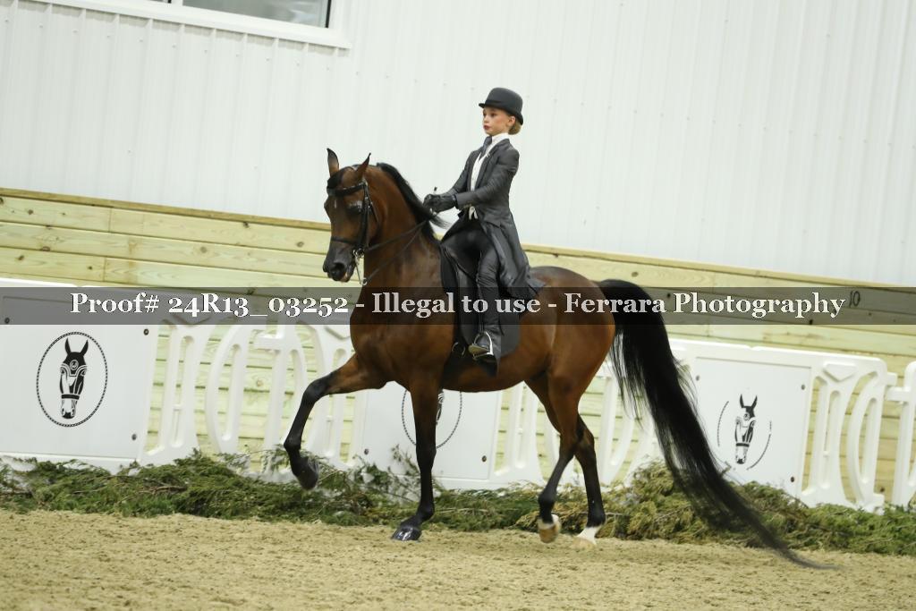 Proof 24R13_03252