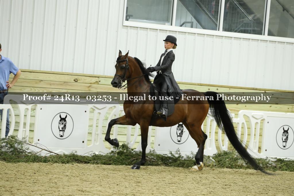Proof 24R13_03253