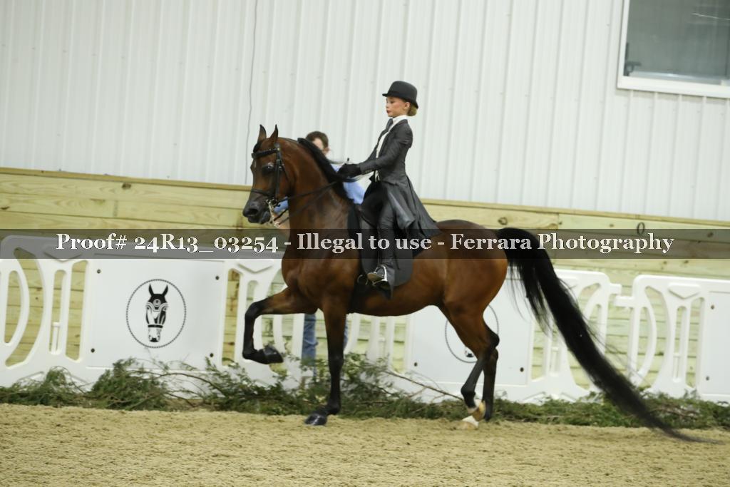Proof 24R13_03254