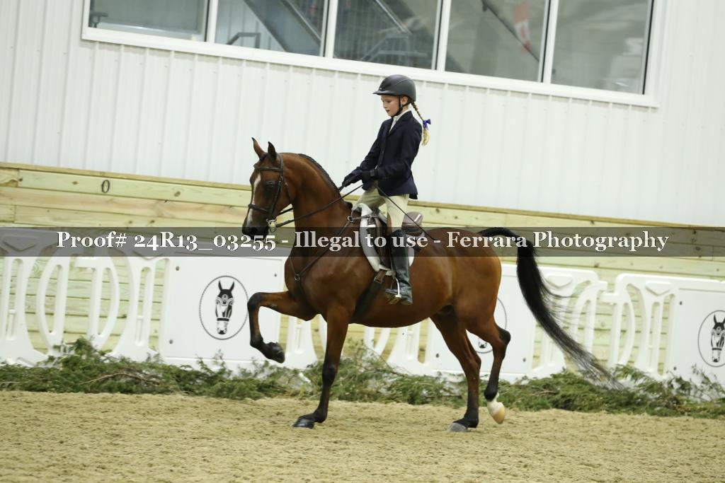 Proof 24R13_03255