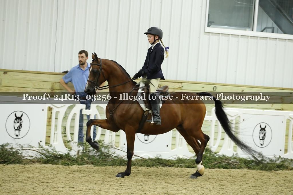 Proof 24R13_03256