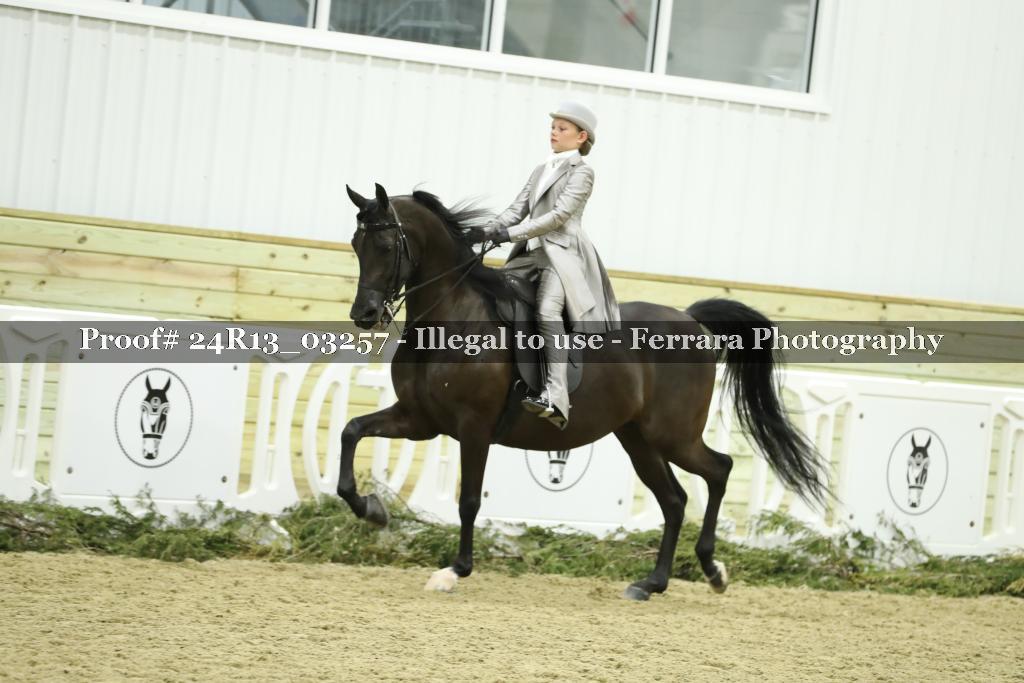Proof 24R13_03257
