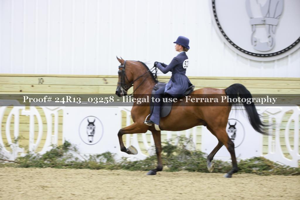 Proof 24R13_03258