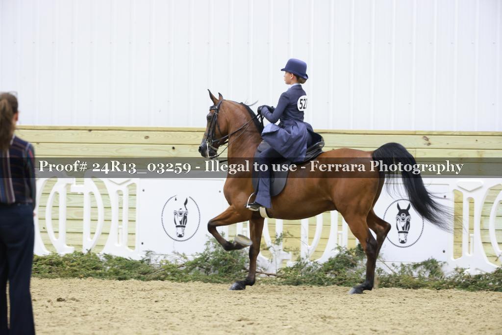 Proof 24R13_03259