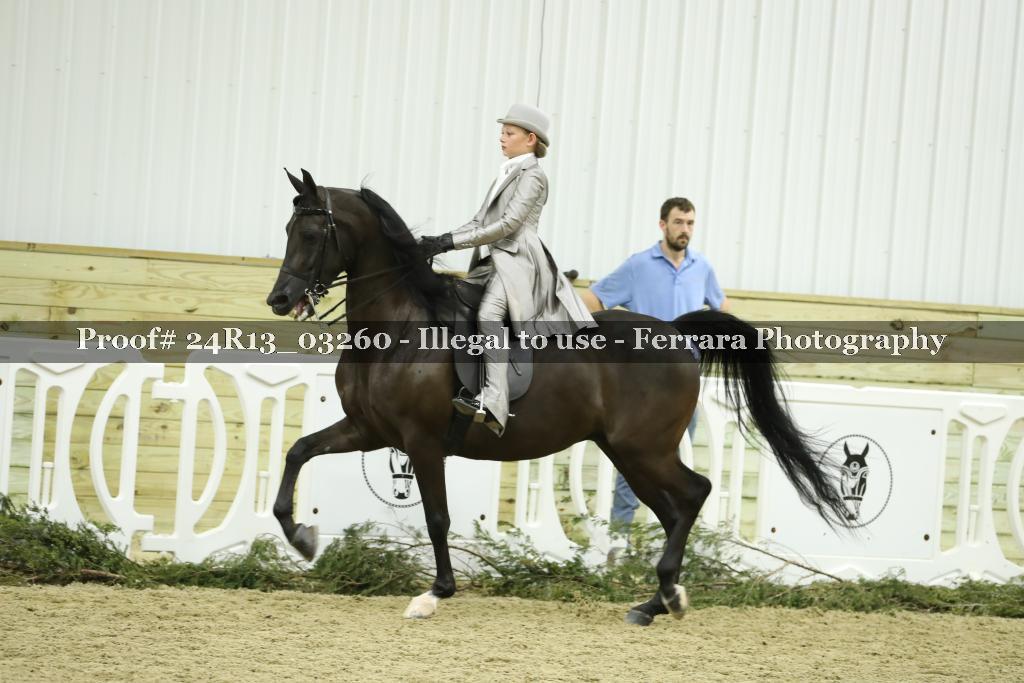 Proof 24R13_03260