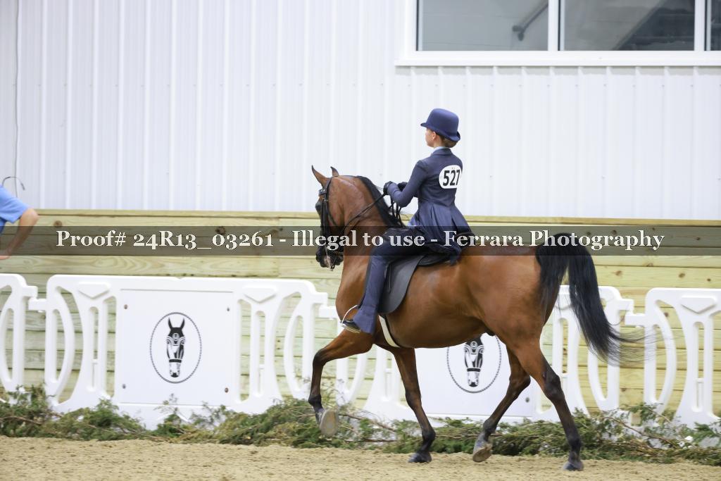 Proof 24R13_03261