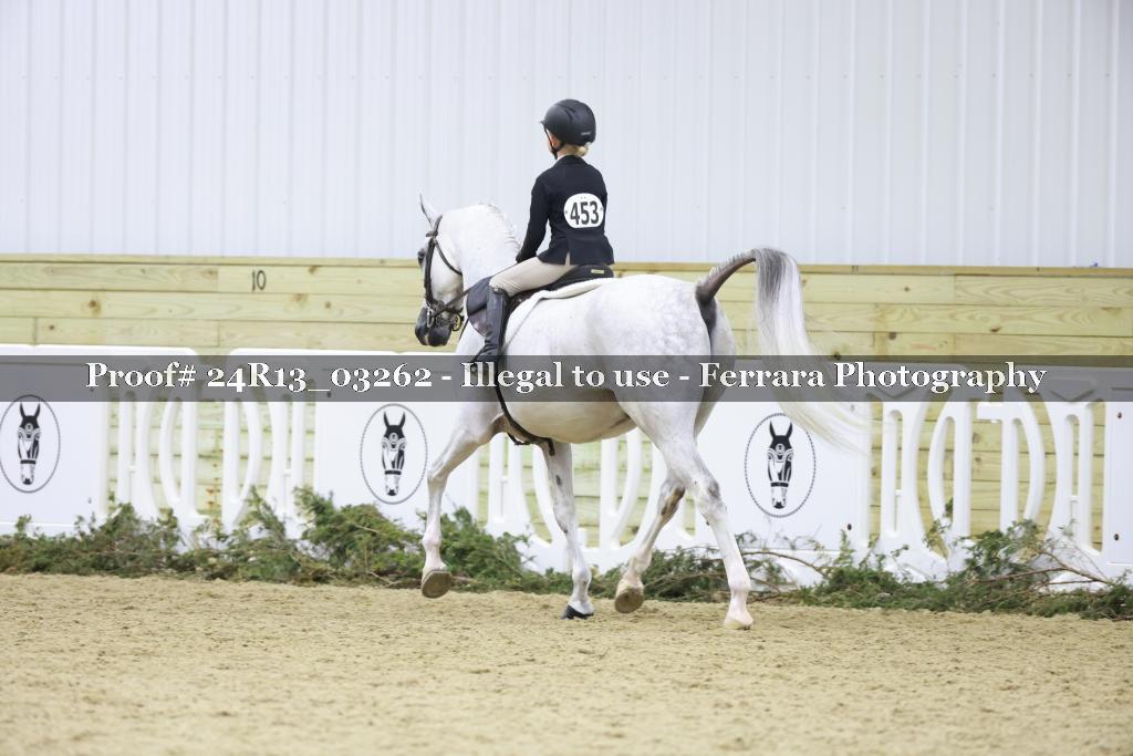 Proof 24R13_03262