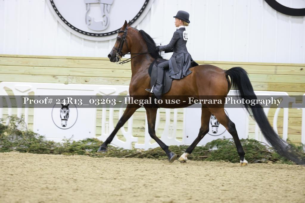 Proof 24R13_03263
