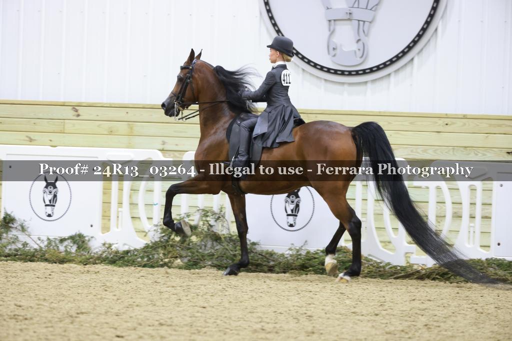 Proof 24R13_03264