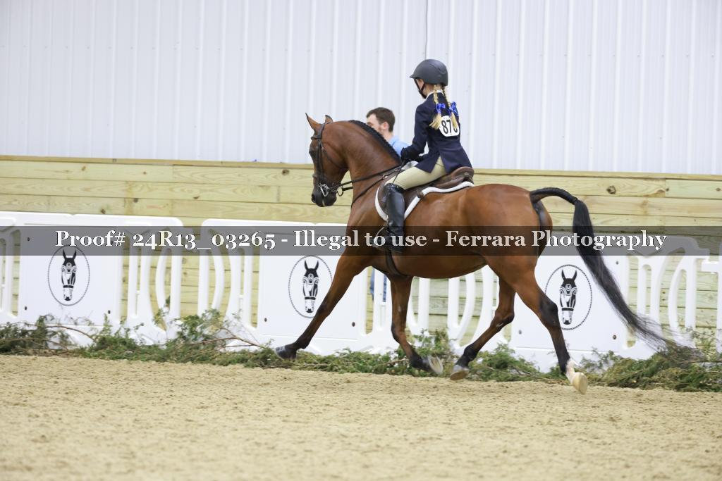 Proof 24R13_03265