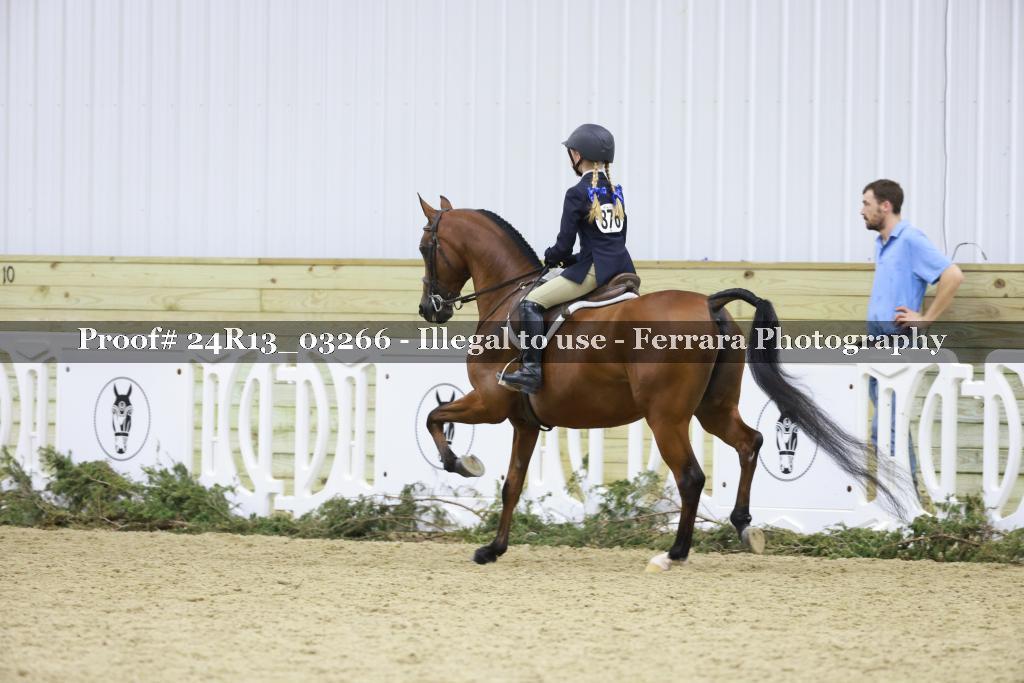 Proof 24R13_03266