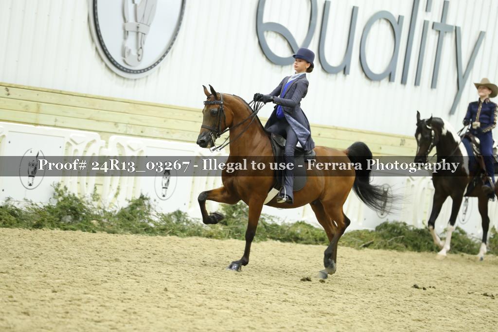Proof 24R13_03267