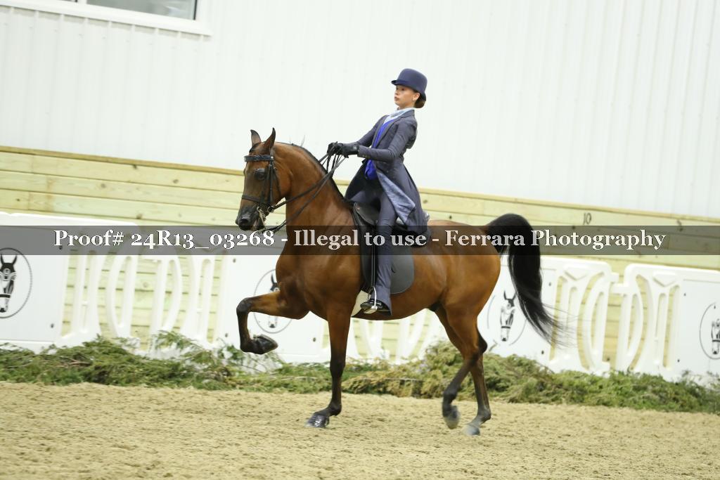 Proof 24R13_03268