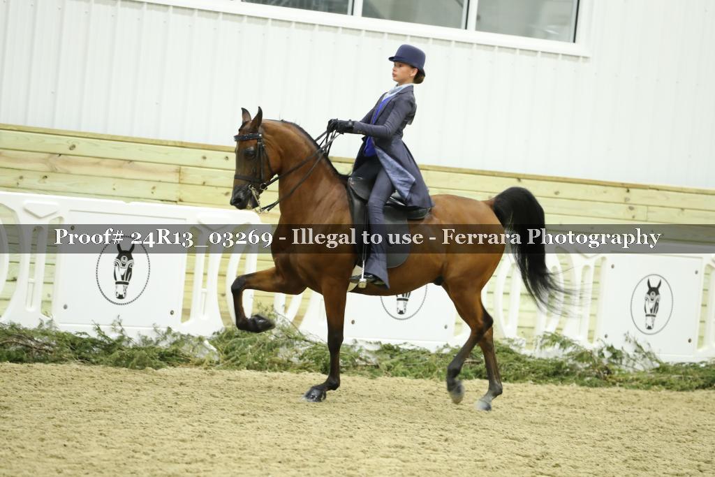 Proof 24R13_03269