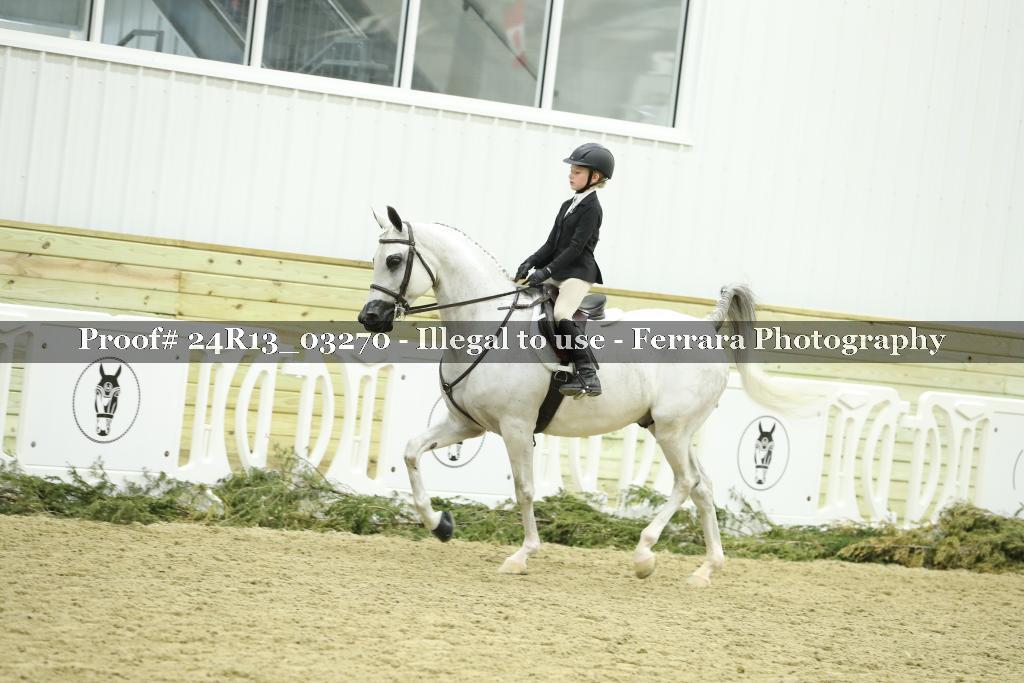 Proof 24R13_03270