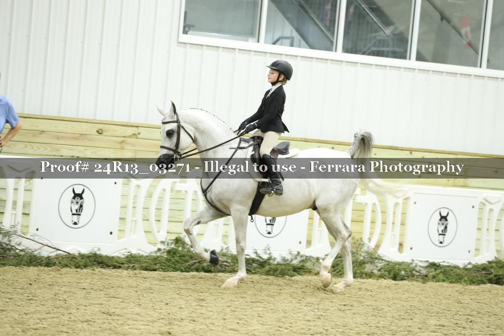 Proof 24R13_03271