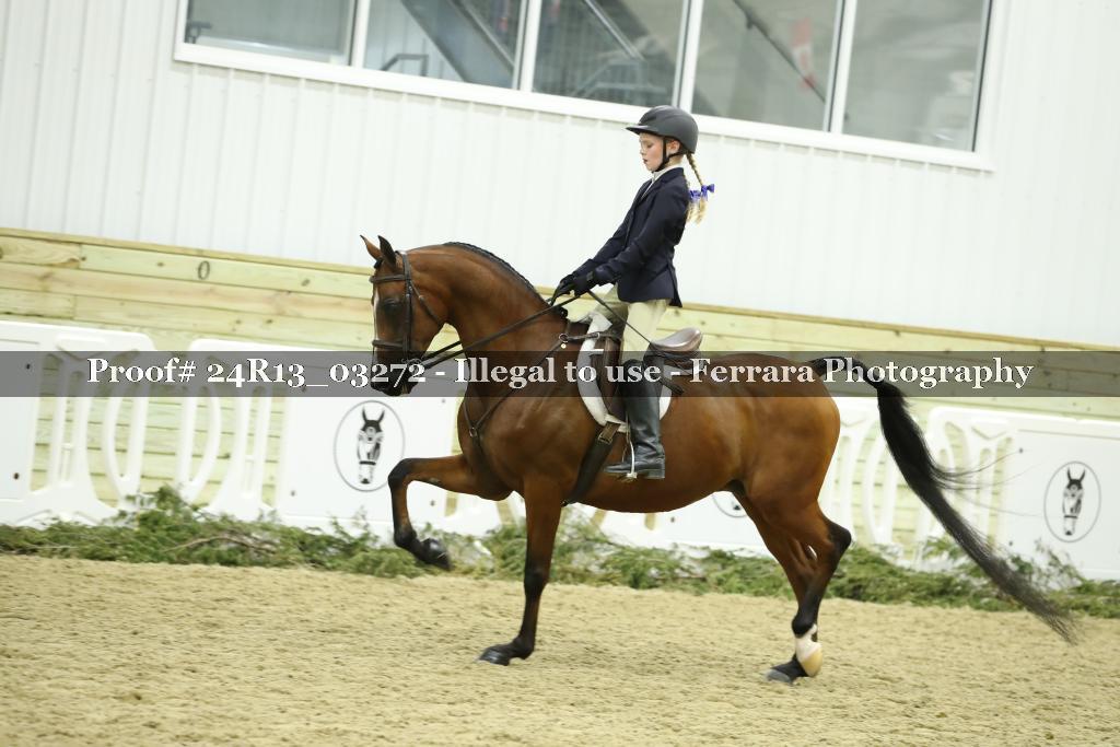 Proof 24R13_03272
