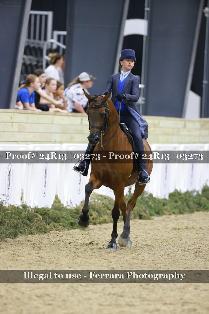 Proof 24R13_03273