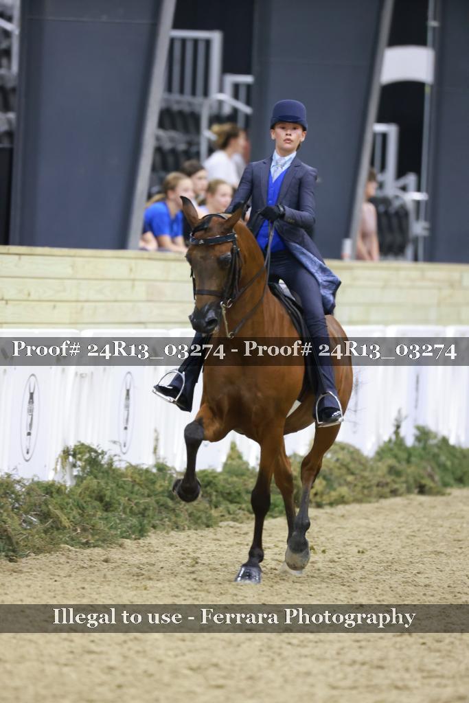 Proof 24R13_03274