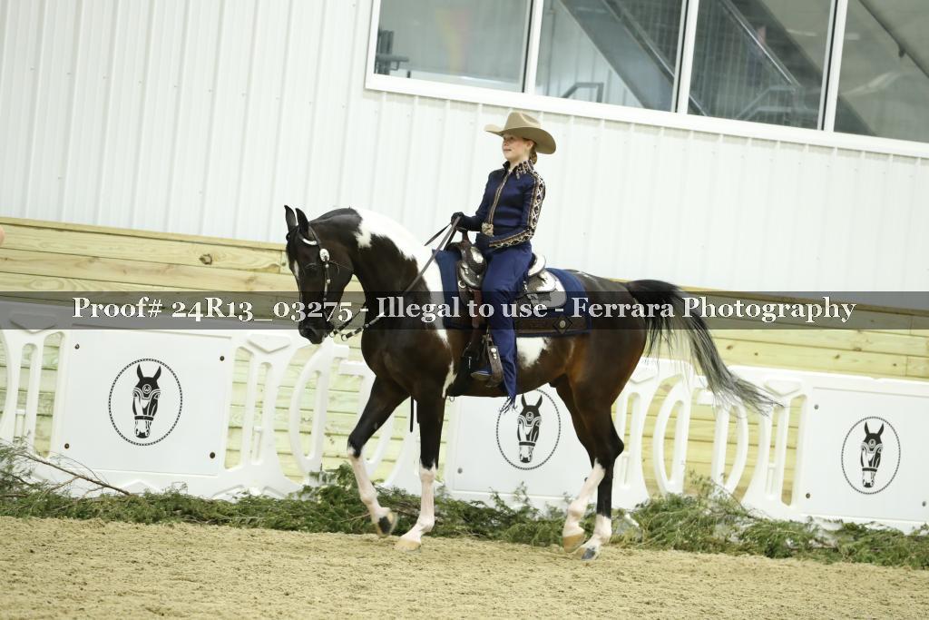 Proof 24R13_03275