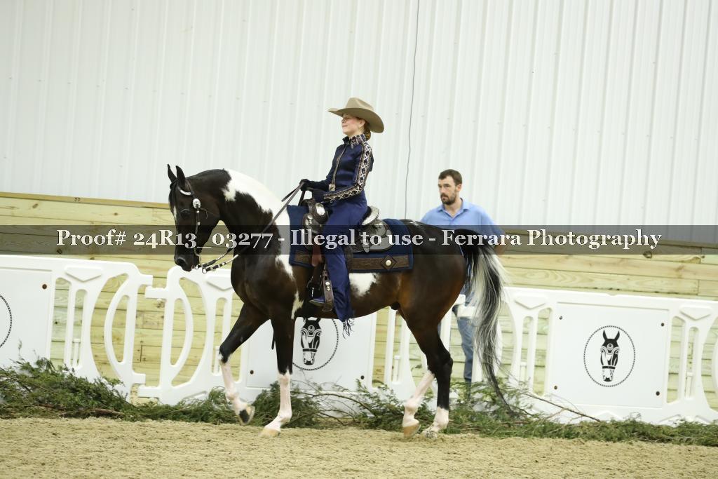 Proof 24R13_03277
