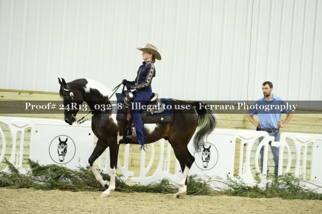 Proof 24R13_03278