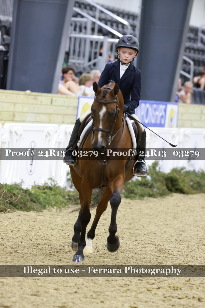 Proof 24R13_03279