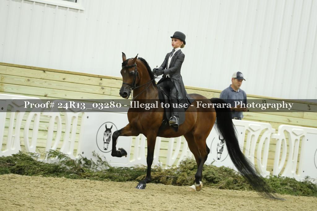 Proof 24R13_03280