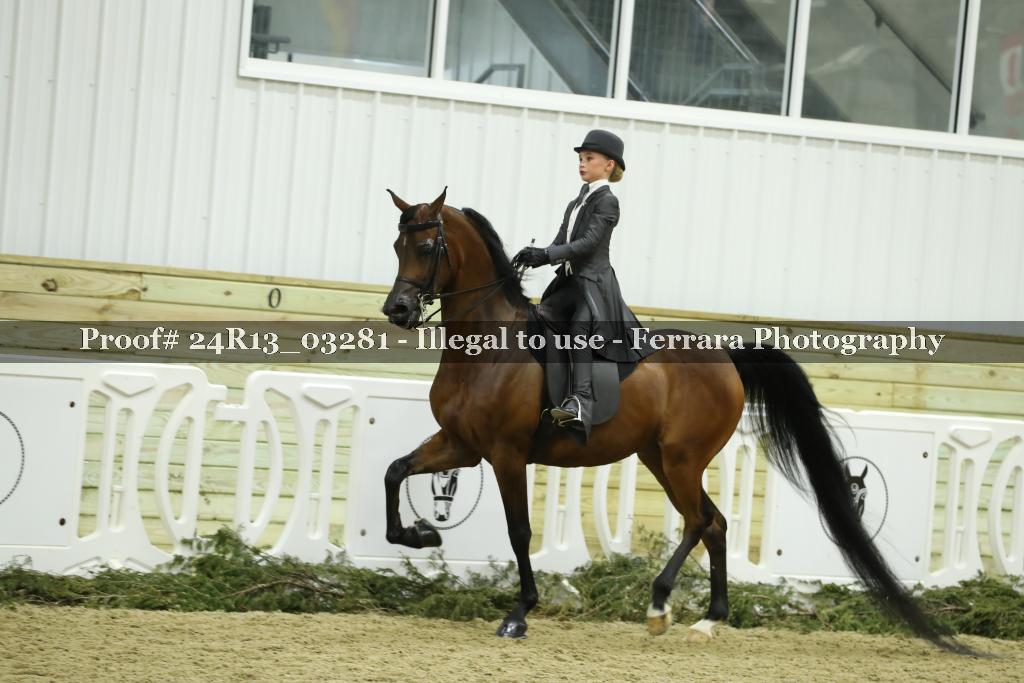 Proof 24R13_03281
