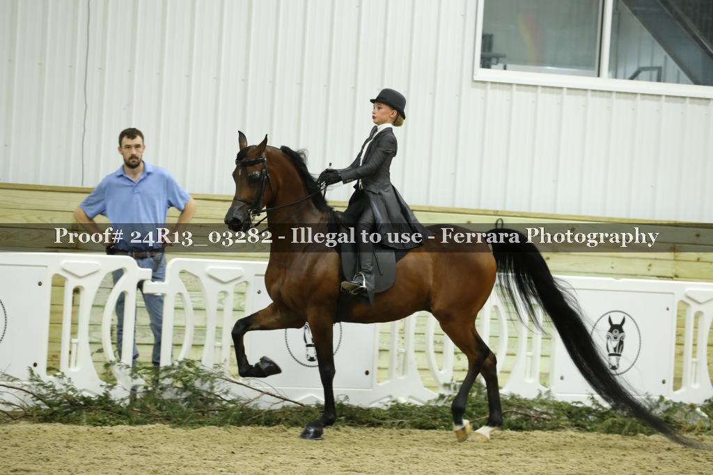 Proof 24R13_03282