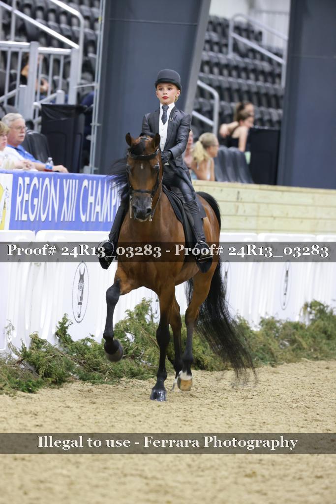 Proof 24R13_03283