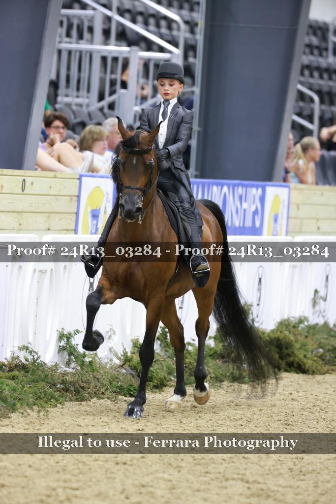 Proof 24R13_03284