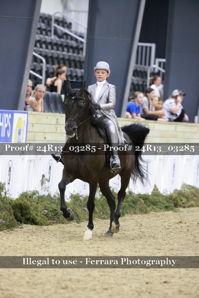 Proof 24R13_03285