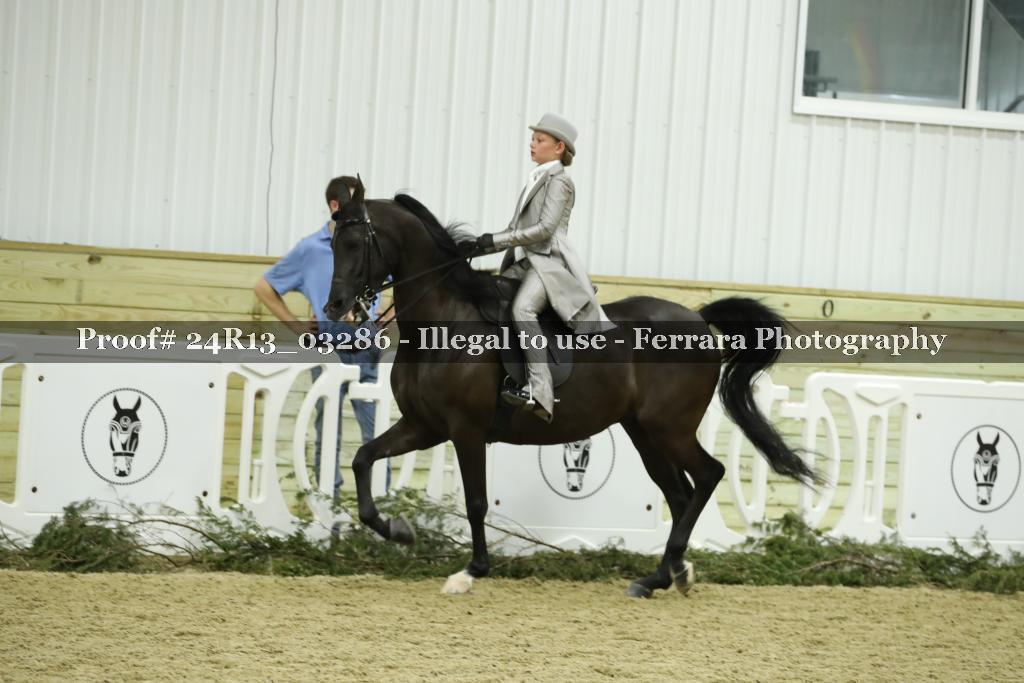 Proof 24R13_03286