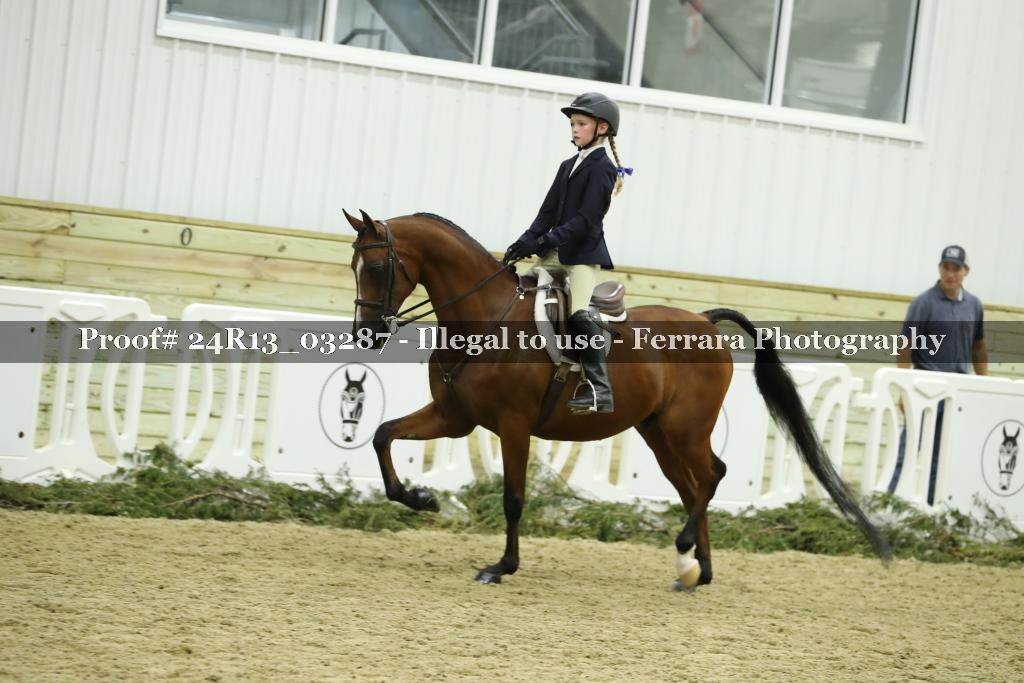 Proof 24R13_03287