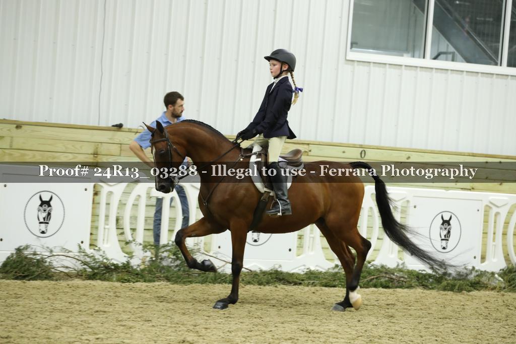 Proof 24R13_03288