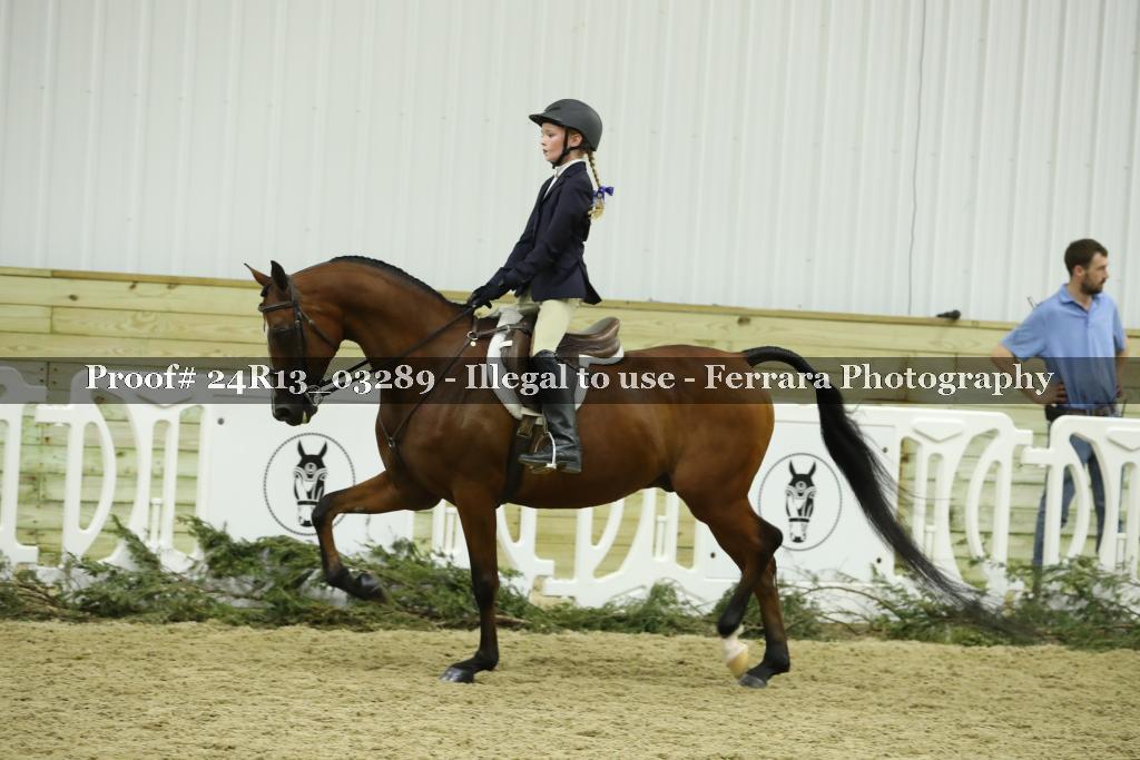 Proof 24R13_03289