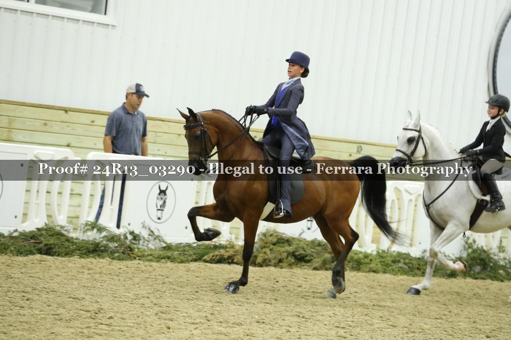 Proof 24R13_03290