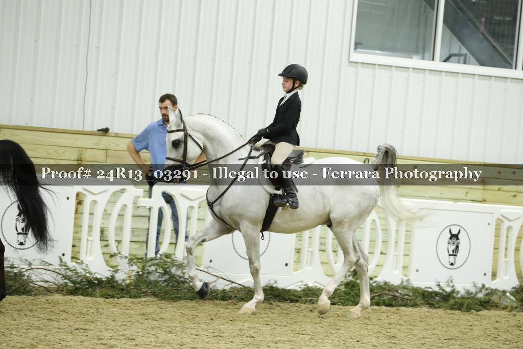 Proof 24R13_03291