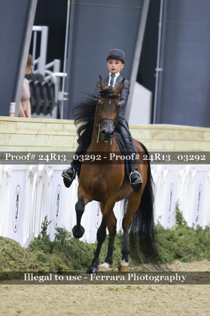 Proof 24R13_03292