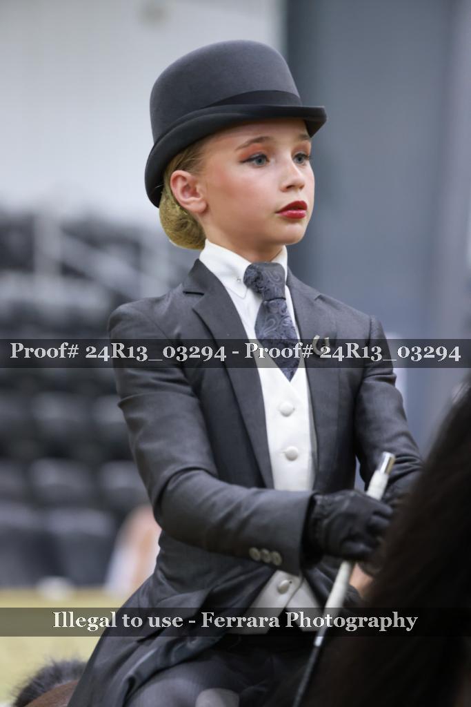 Proof 24R13_03294