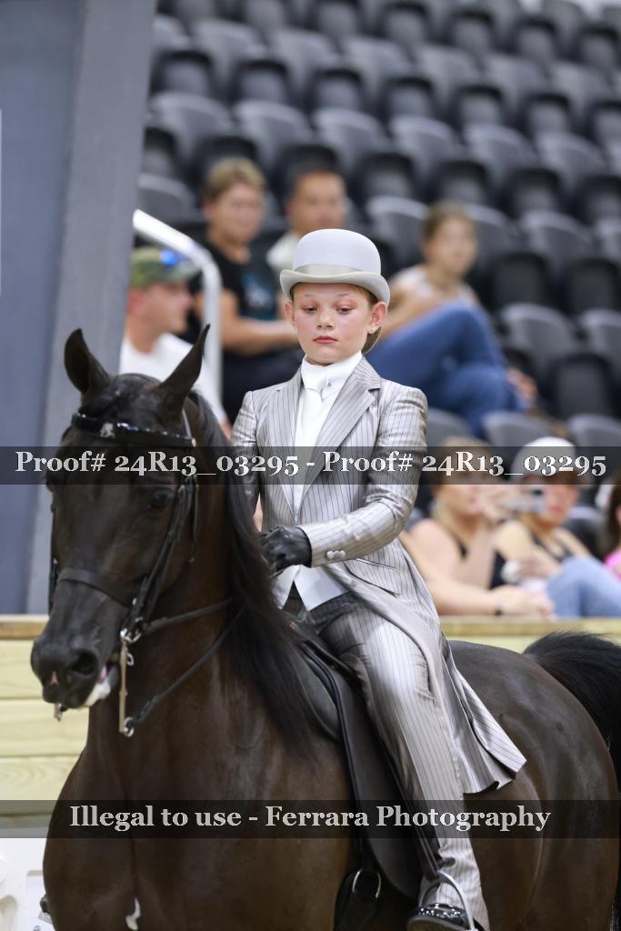 Proof 24R13_03295