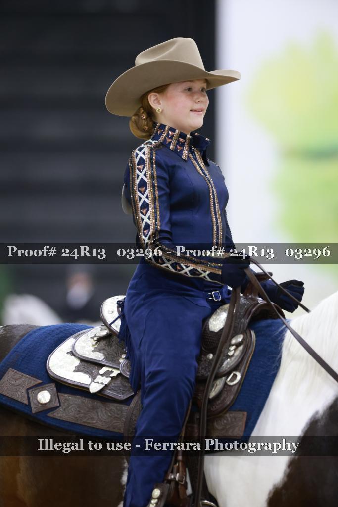 Proof 24R13_03296