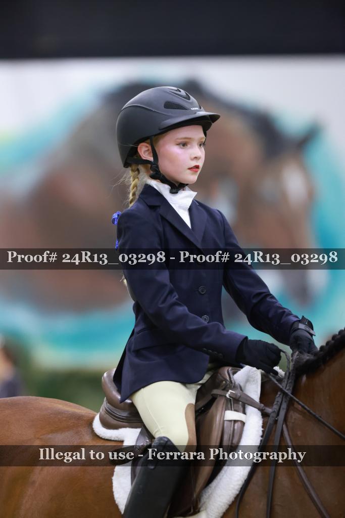 Proof 24R13_03298