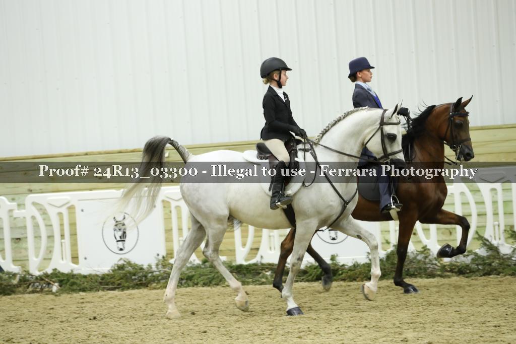 Proof 24R13_03300